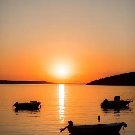 Heaven On Earth Ustrine Orman Evi Ustrine